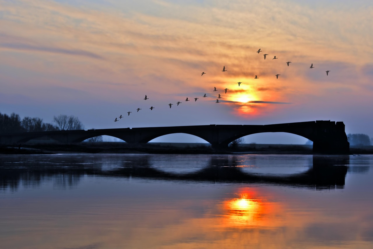 A Field Guide to River Silence