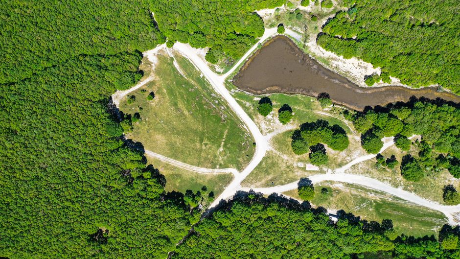 The Cartographer of Small Waters