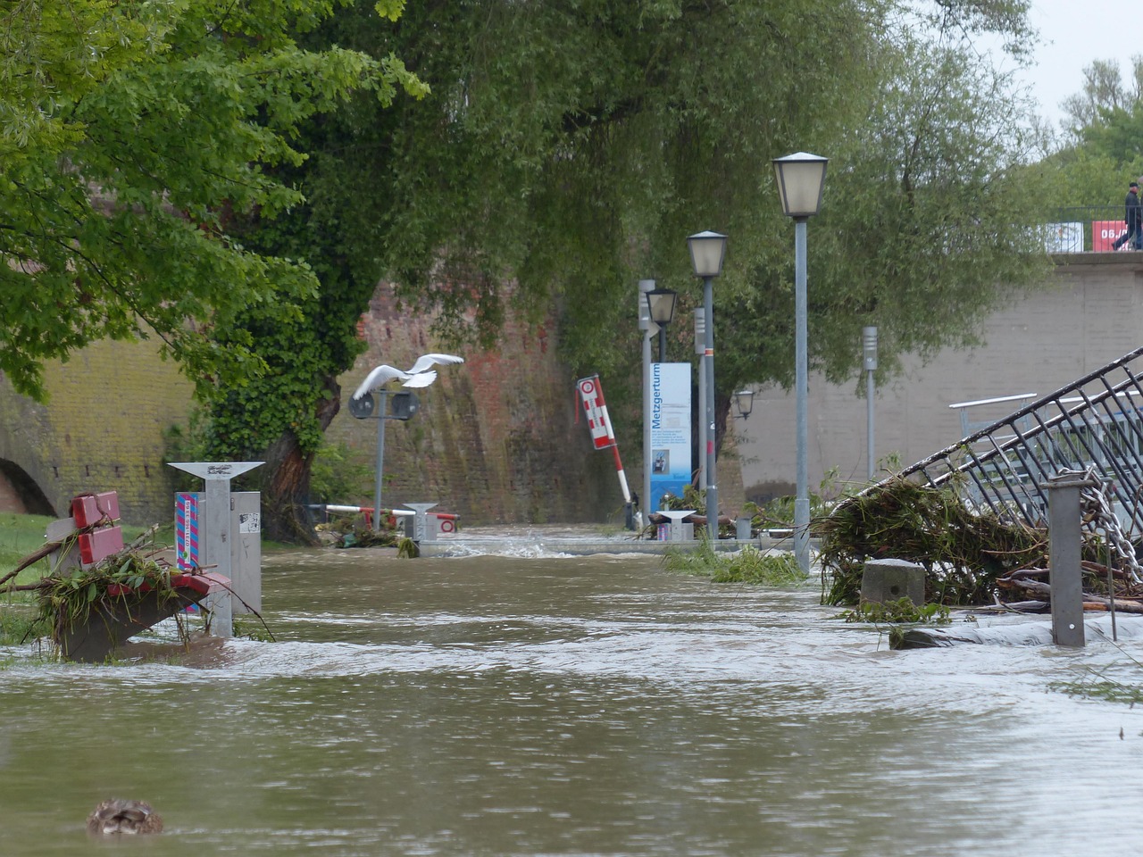 The Flood That Remembers