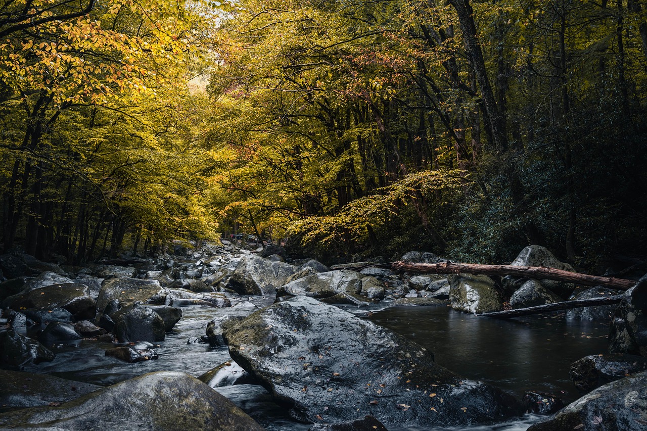 What the River Taught Me About Leaving